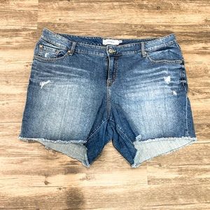Torrid Distressed Jean Shorts